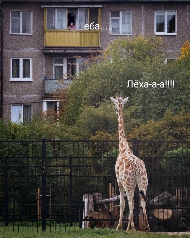 Так себе картинки 05.06.24