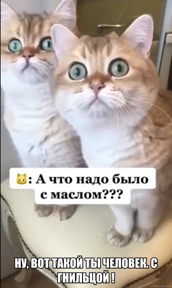 - Кто ел печенюшки?