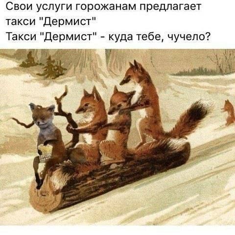 Веселые картинки к понедельнику (21.10)