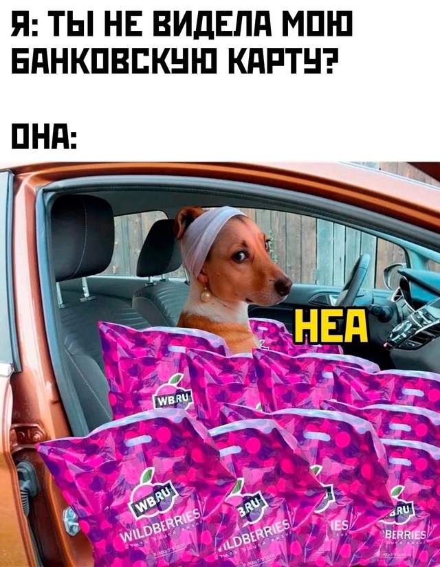 Весёлый полтишок 01.11.24