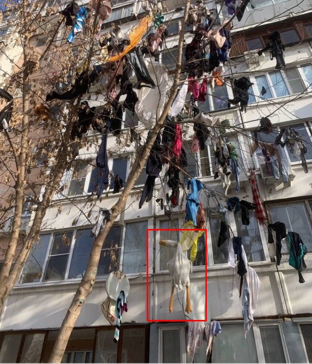 Кого-то безжалостно выгнали из дома в Новокосино