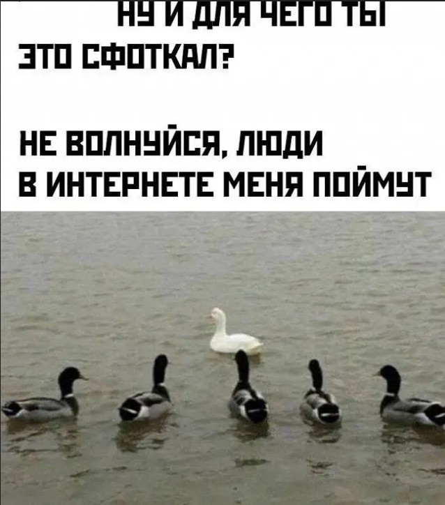 Завалялось тут случайно немного забавных картинок