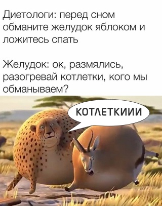 Картинки для деградации-6 (разной степени свежести)