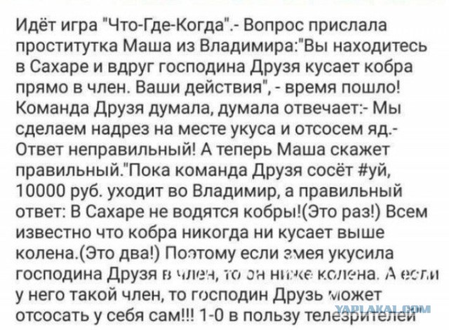 Китаец после змеиного укуса без раздумий отрубил себе палец, чтобы яд не распространился дальше