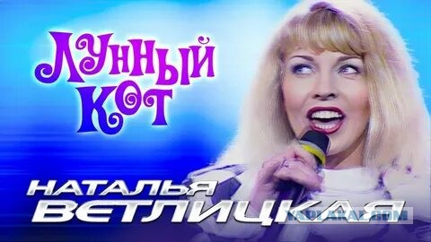 Кота вместе с бельём случайно постирала в машинке москвичка — питомец едва не задохнулся