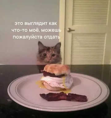Картиночки, баянчики 13 марта