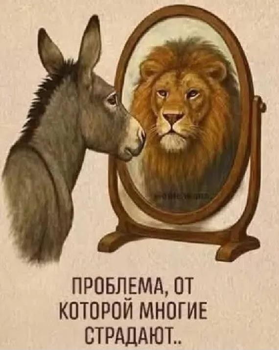 Панамка готова⁠⁠