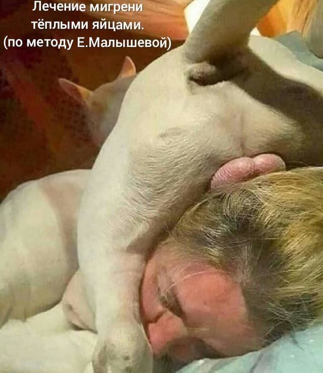 Фанатка маргиналов