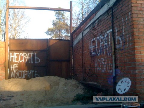 Смешные картинки, снятые на мобильник