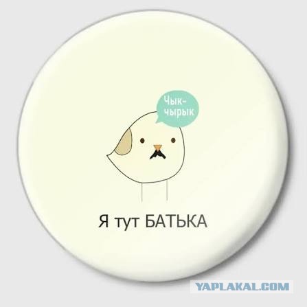 Даже за такую наклейку предусмотрен штраф