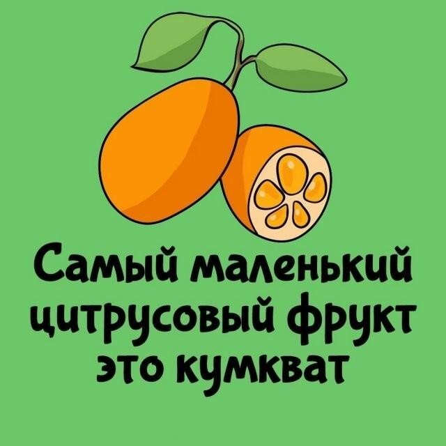 Интересные и короткие факты,на все случаи жизни 23.10.26