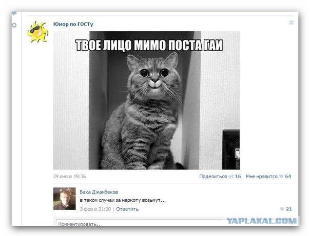 Смешные комментарии из социальных сетей (часть 5)