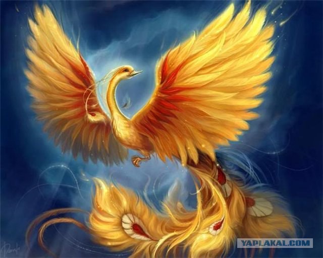 Весь Мир и Вселенная числовая матрица