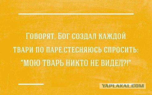 Картинки, вроде смешные.