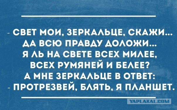 Подборка весёлых картинок
