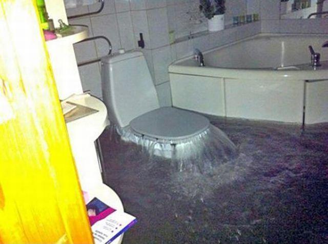 Весёлые картинки
