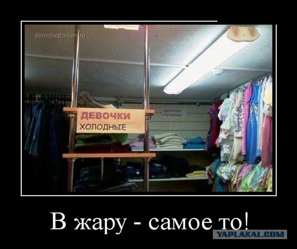 Демотиваторов пост