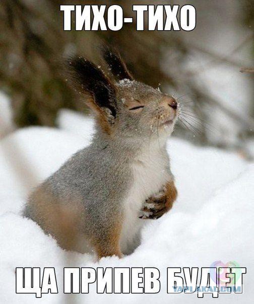 Фотки из инетов