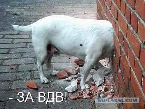 Потерял сознание во время прыжка с парашютом