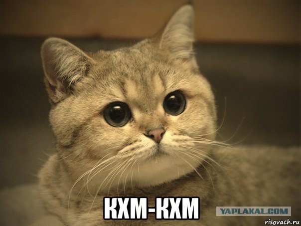 Скончался Джон Маккейн