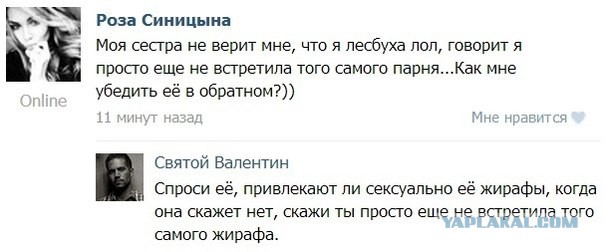 Смешные комментарии из социальных сетей