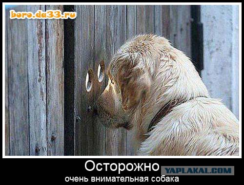 Мой сосед просверлил сквозную дыру у нас в спальне