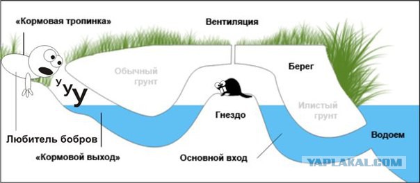 Как правильно бегать