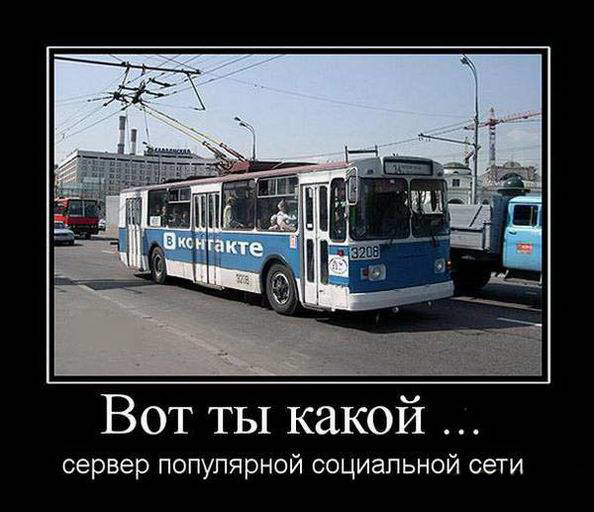 Прикольные картинки и демотиваторы