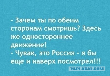 Подборка веселых картинок