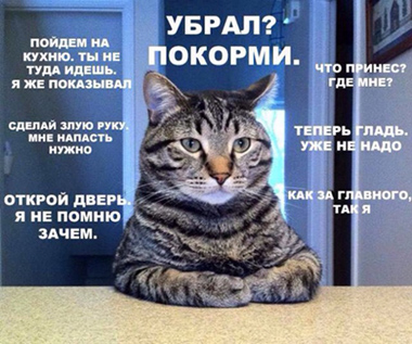 Вся суть котов