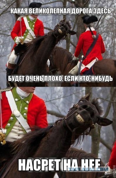 Картинки