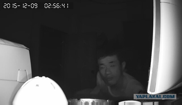 За что я люблю китайцев