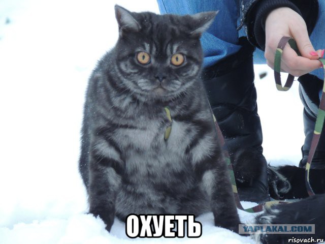 Если вы будете когда-нибудь в Швеции