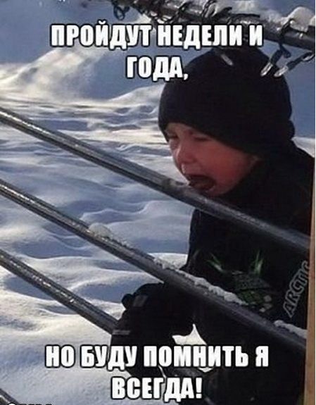 Веселые и забавные картинки
