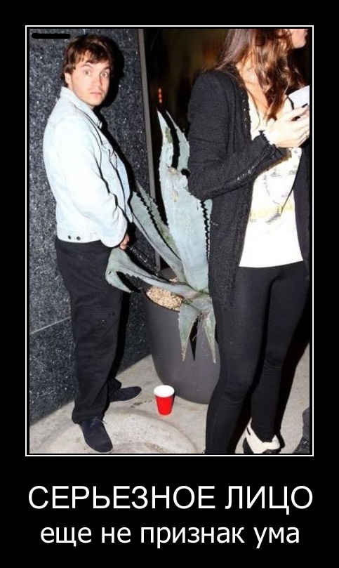 Подборка интересных и веселых картинок