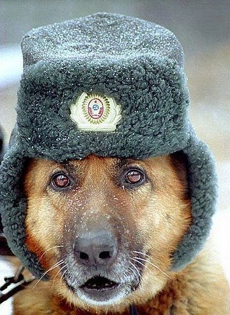 Редкое фото. Молодые Кола Бельды и Иосиф Кобзон