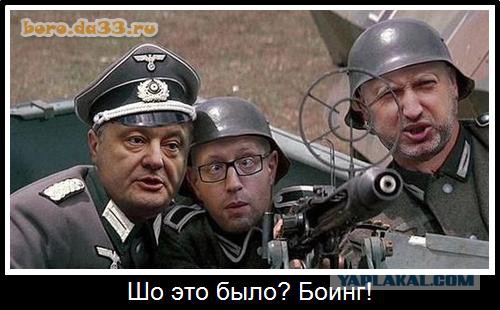 Расследование крушения Boeing MH17 подтвердило вину ВС Украины в трагедии