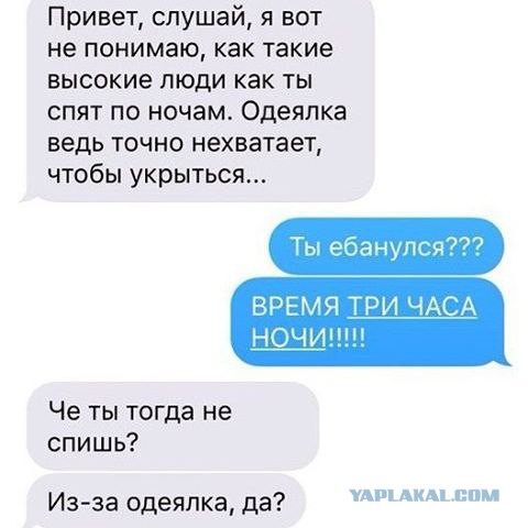 Прикольные картинки