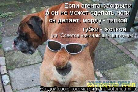 Поможем депутату Железняку найти обидчиков, шантажировавших его