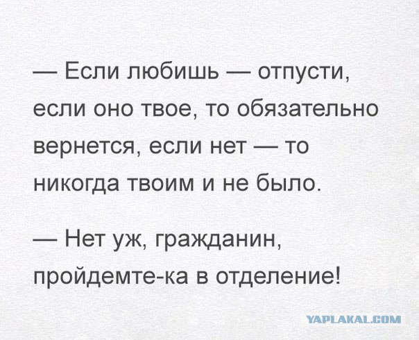 20 Смешных пикч
