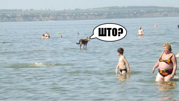А кто ты по жизни !?)
