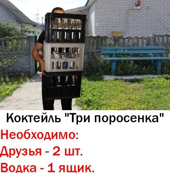 Подборка безудержного веселья