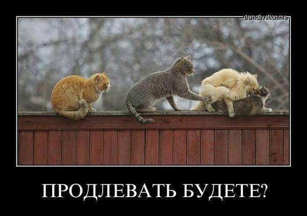 Продолжаем мизантропизировать....