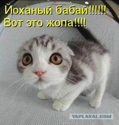 Госдума приняла закон о запрете анонимайзеров