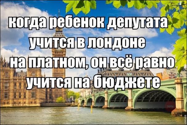 Смешные комментарии из социальных сетей 28.07.2017