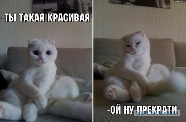 Подборка интересных и веселых картинок