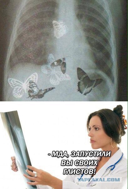 Юмор для многоклеточных. Дурацкие картинки (но это не точно).