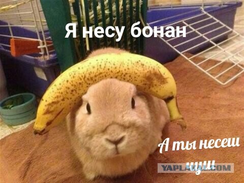 А вот кому деградации и лёгкой наркомании? Налетай!
