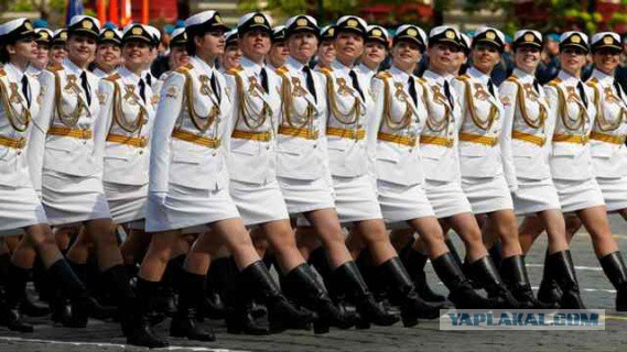 Где найти жену защитницу?