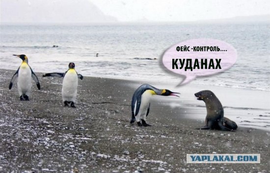 Задушевная беседа...
